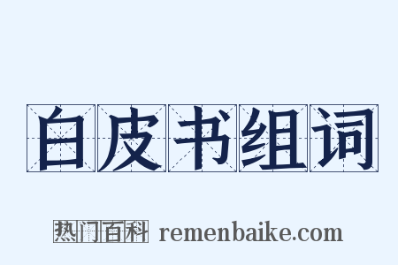 白皮书组词是什么意思的图片
